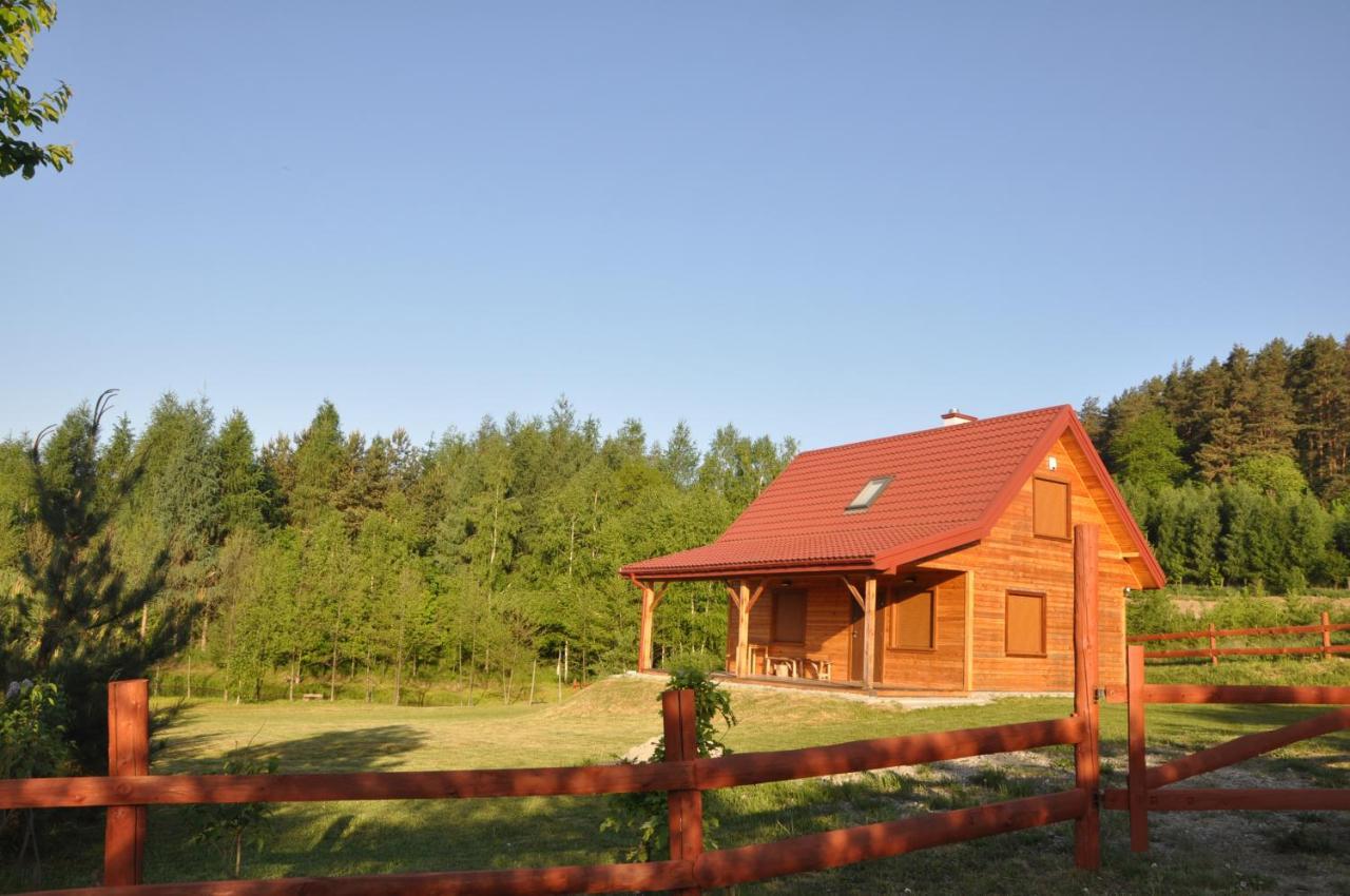 Dom Nad Dolina Sanu Villa Ruszelczyce Exteriör bild